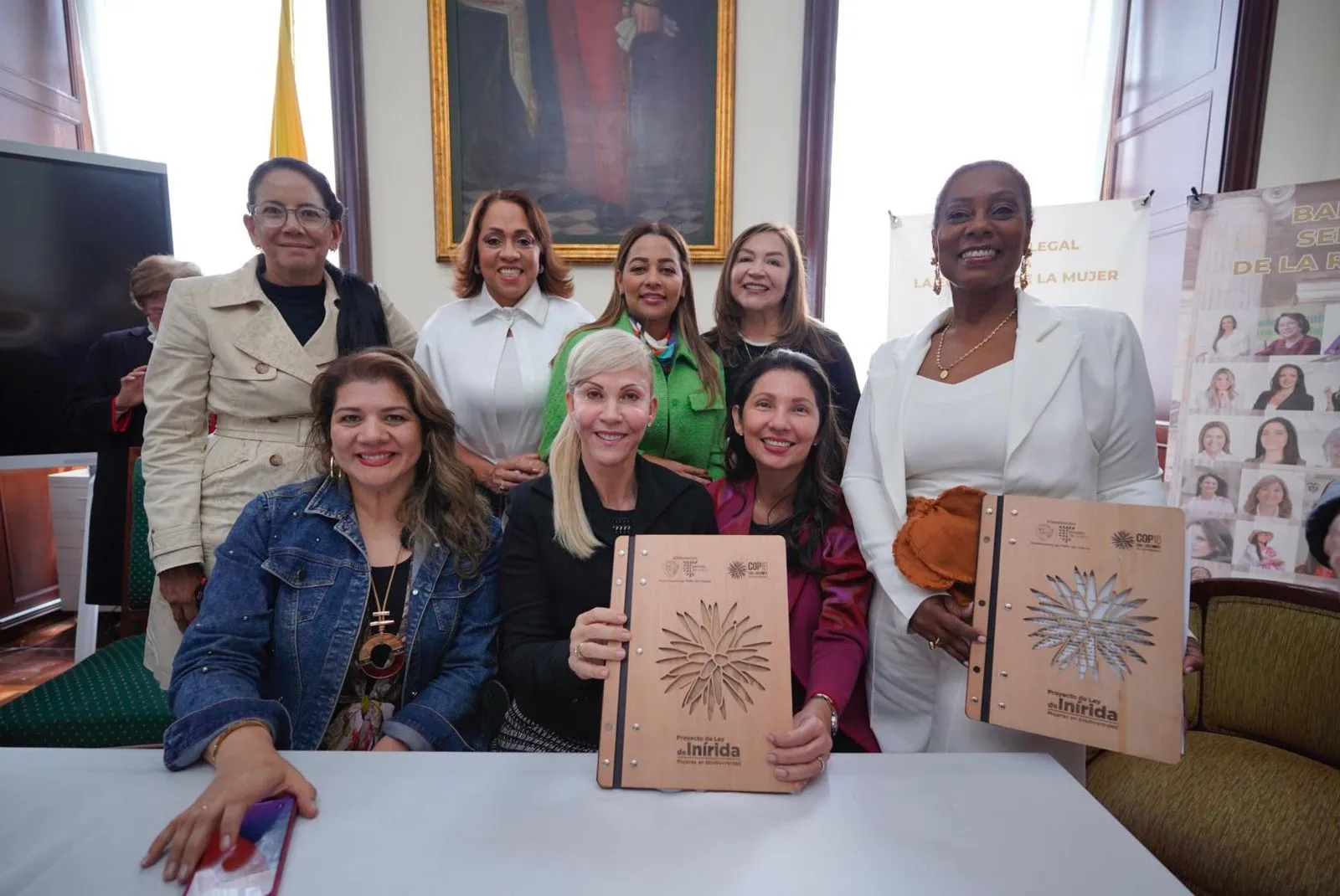 Ley Inírida destaca mujeres cuidadoras.