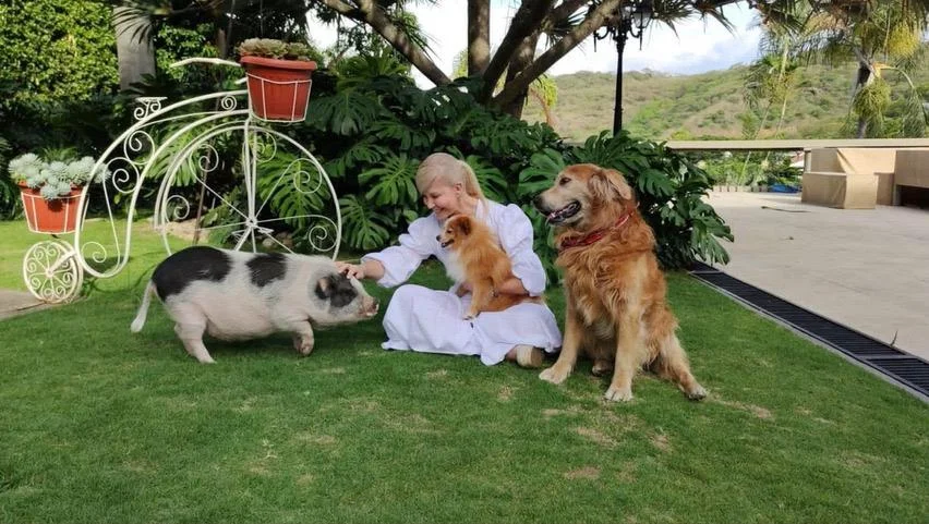 El Valle Crea Subsecretaría Animalista.