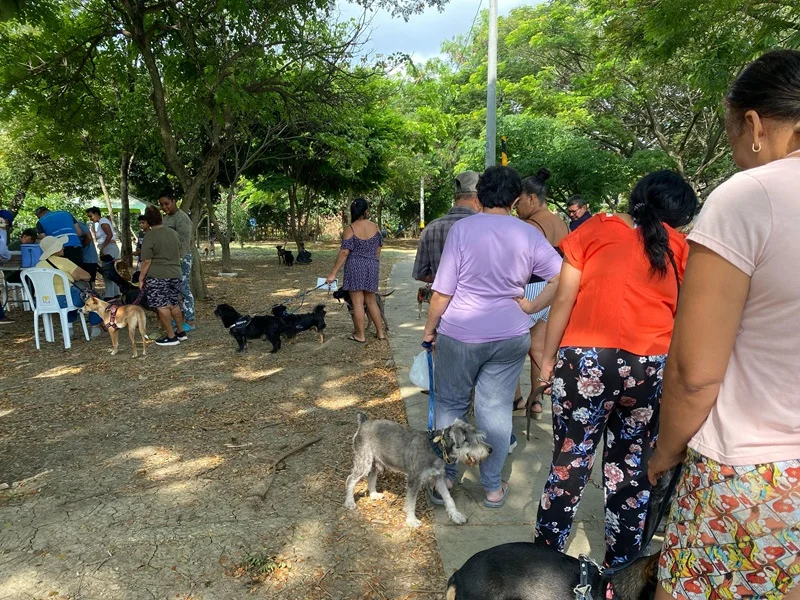 Vacunación Antirrábica Protege a Mascotas
