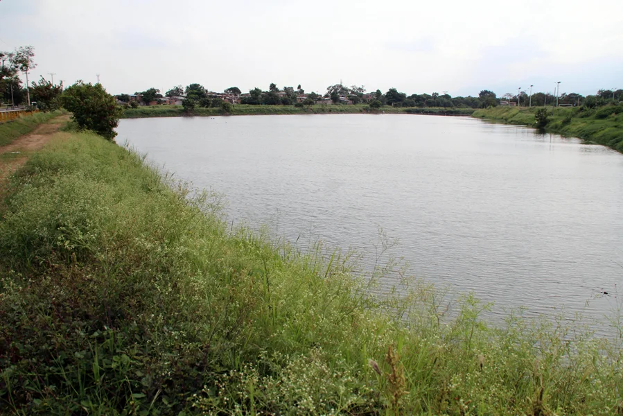 Cali Protege Sus Zonas Verdes.