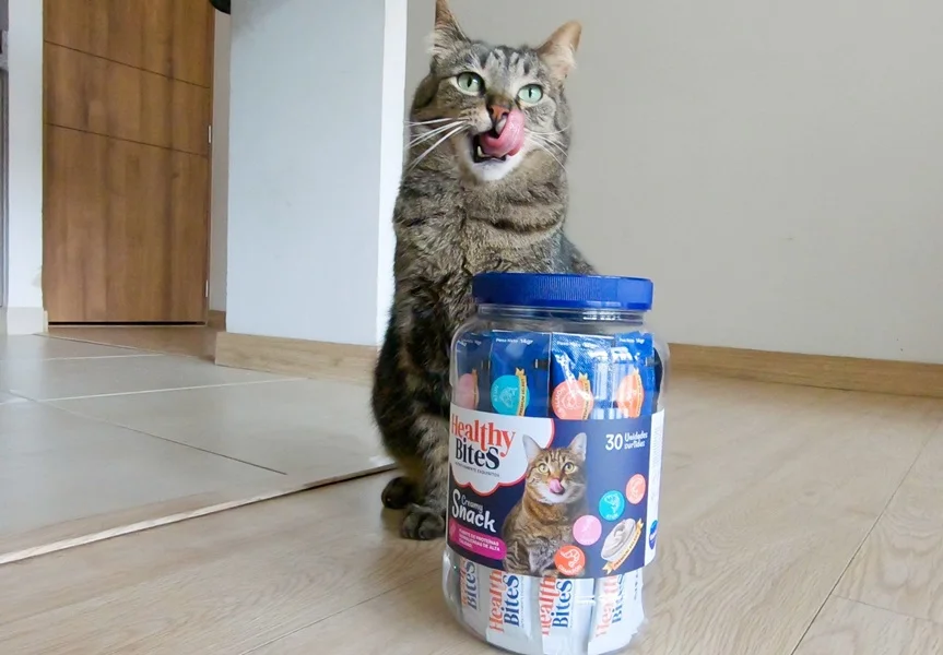 Alerta de Dulces Halloween la Peligrosa Trampa que Acecha a tu Mascota. Alerta de Dulces Halloween la Peligrosa Trampa que Acecha a tu Mascota.