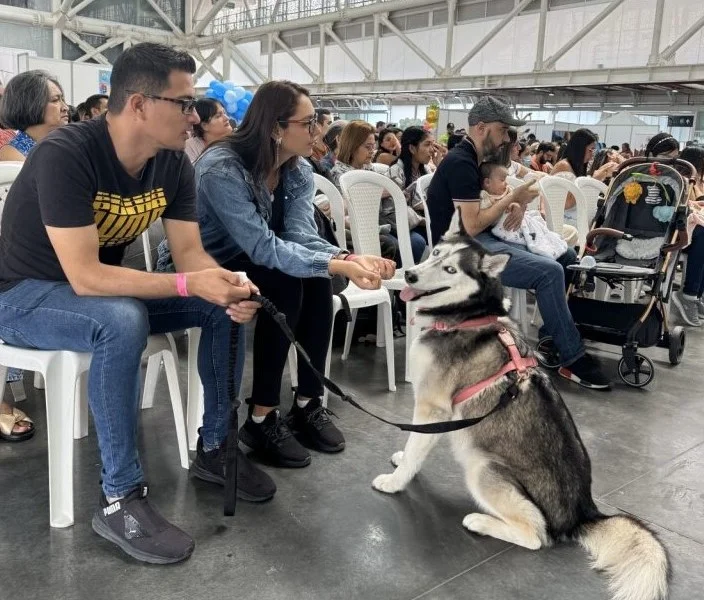Mascotas Invaden Cali en un Festival Único que Celebra el Bienestar Animal.