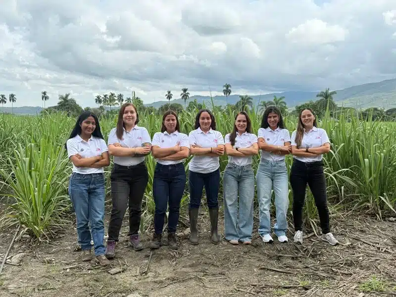Ingenio Pichichí Conquista Fair For Life en un Triunfo Sostenible que Endulza al Valle.